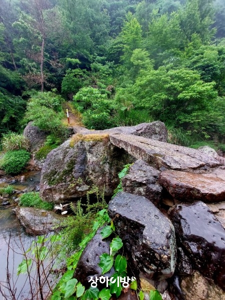 Weixin+Image_20250529204752.jpg
