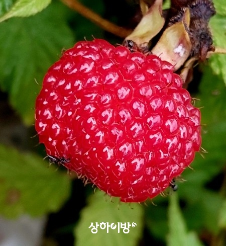 Weixin+Image_20250529204837.jpg