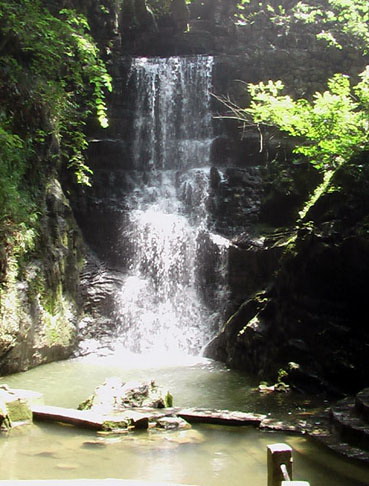 20066193431.jpg