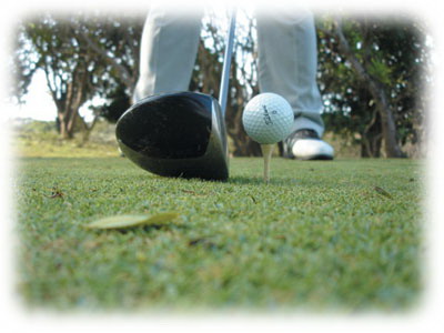2007438354.jpg