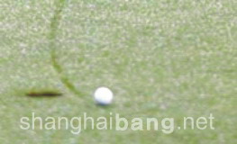 200811316304.jpg
