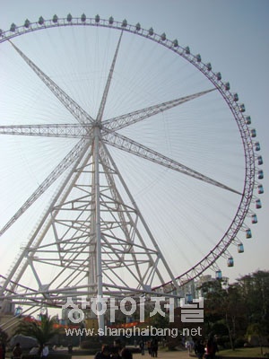 20091201124039_3917.jpg