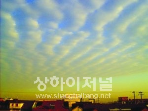 20100128112447_1694.jpg