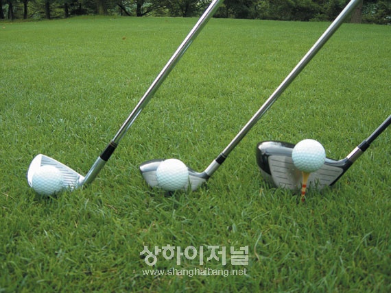 20100204132051_7354.jpg