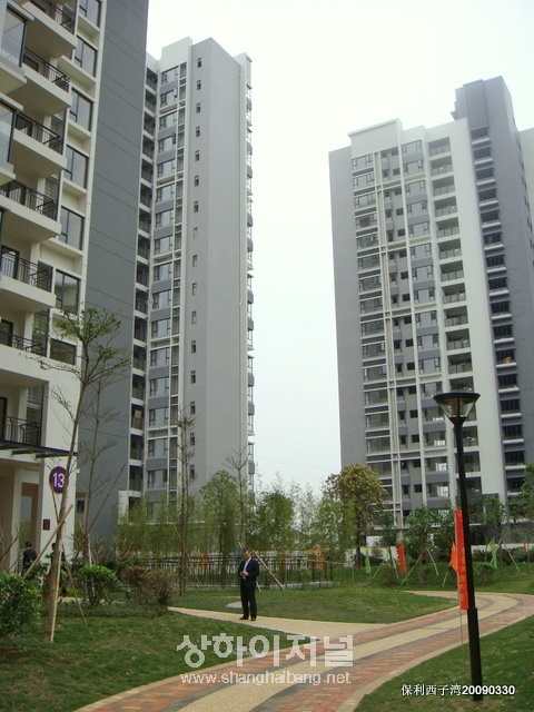 20100311154411_8202.jpg