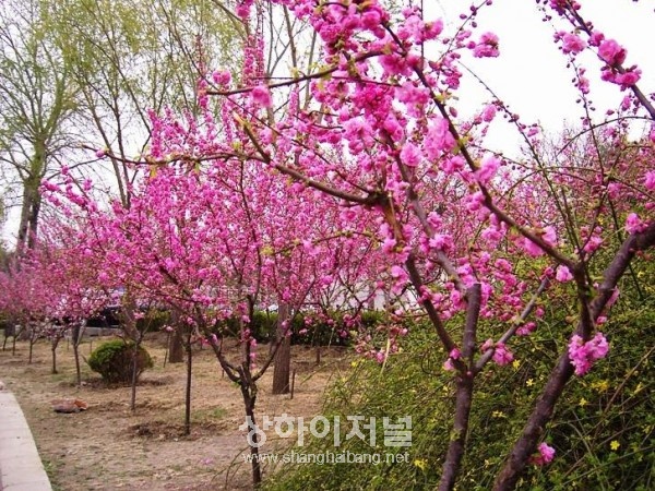 20100318200933_4099.jpg