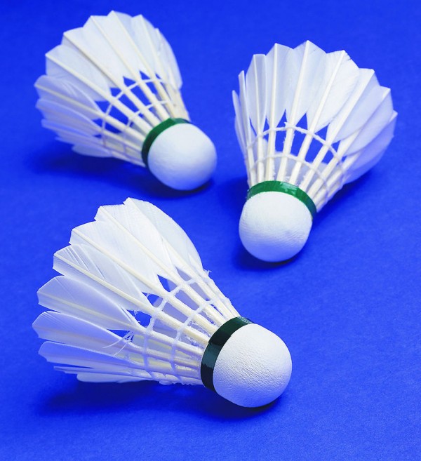 20100319222100_5329.jpg