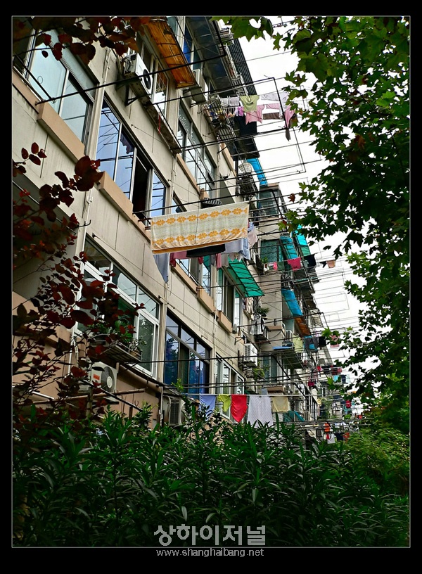 20100401122342_1146.jpg