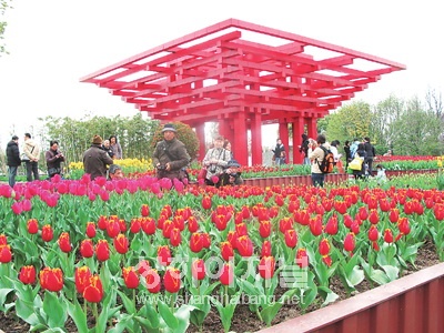 20100402222645_4921.jpg