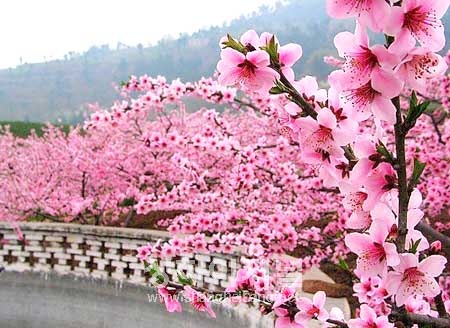 20100412161439_6771.jpg