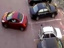 20100415204209_5449.jpg