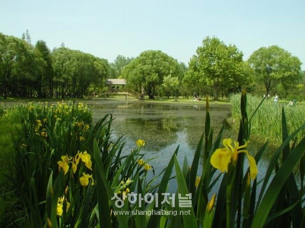 20100423195329_2604.jpg