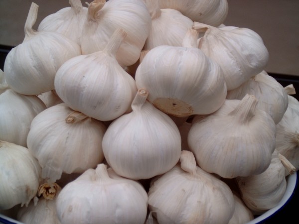 20100514182719_8300.jpg
