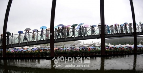 20100628181618_2883.jpg