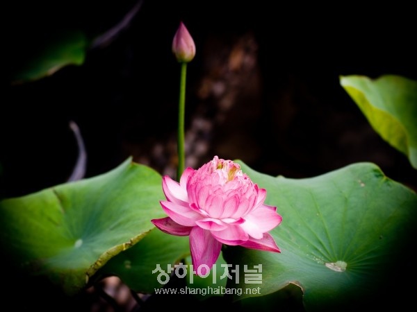 20100630184426_5908.jpg