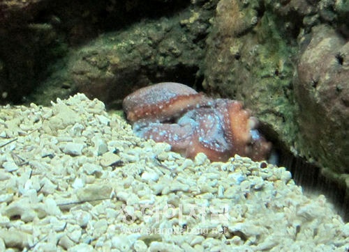 20100721182103_8335.jpg