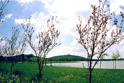 20100730114121_6670.jpg