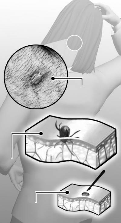 20100908180511_8494.jpg