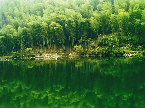 20100910205819_6944.jpg