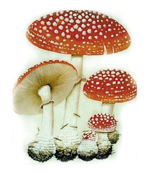 20100915110828_8384.jpg