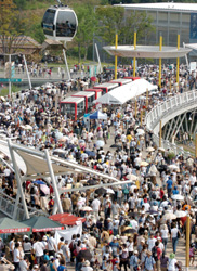 20100924201541_3046.jpg