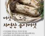송이버섯 열심히 팝니다^^(상해)