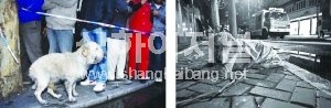 ▲불길이 치솟고 있는 건물을 안타깝게 바라보고 있는