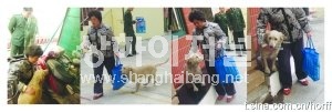 ▲드디어 주인과의 눈물겨운 상봉