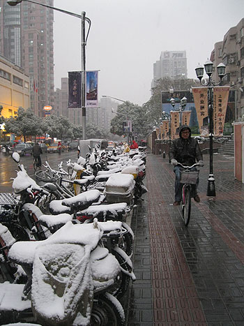 20101215184841_8854.jpg