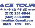 엘에이를 방문 여행할때 엘에이 택시 에이스 투어