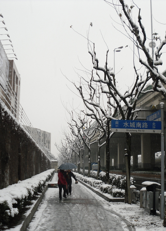 20110120143551_1323.jpg