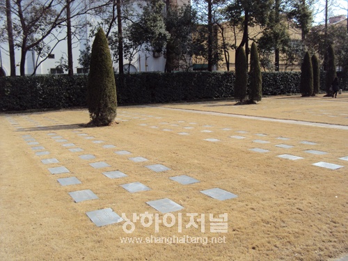 20110226162041_5790.jpg