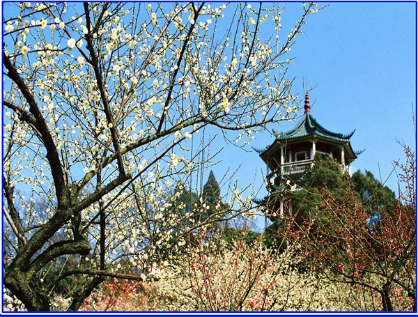 20110304191032_7971.jpg