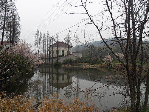 20110401210710_656b1000.jpg