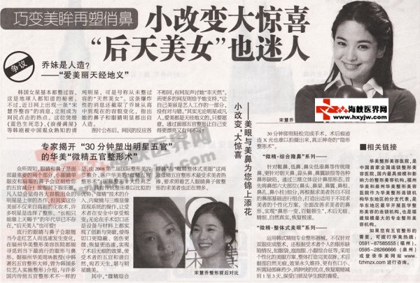 송혜교 성형 기사