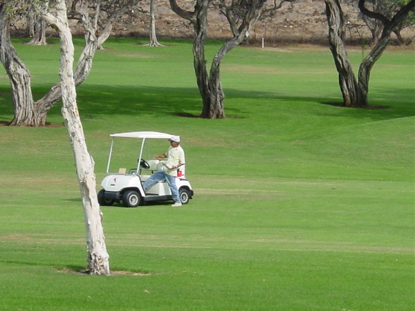20110517162742_2195.jpg