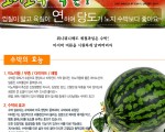 꼬마수박 6통20원
