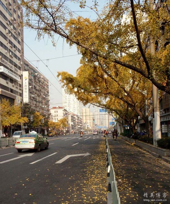 20110909161911_2752.jpg
