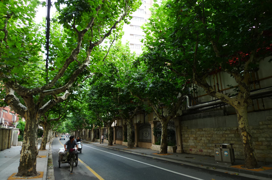 20110930120653_1816.jpg
