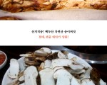 백두산 자연산 생송이 버섯,2011년 추석 가을송이 맛보기!
