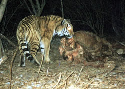 20111027145718_5187.jpg
