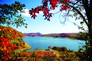 20111027145906_5992.jpg