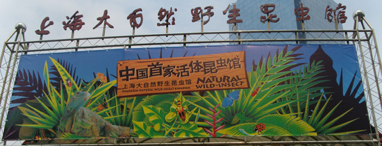 20111118162454_5124.jpg