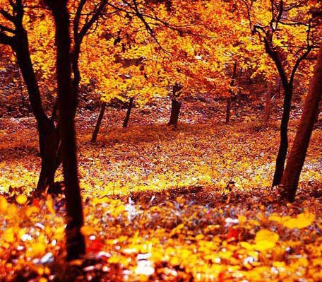 20111118185211_9846.jpg