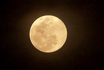 20120206115647_1995.jpg