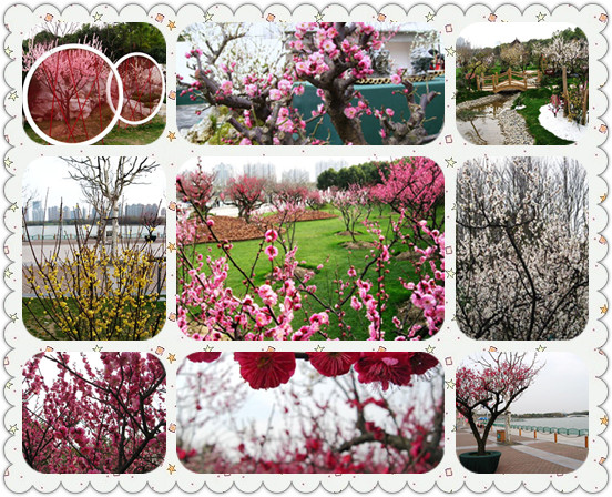 20120214112827_6220.jpg