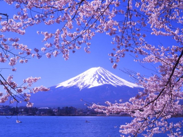 20120222145957_2862.jpg