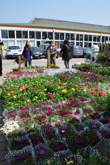 20120316190336_3401.jpg