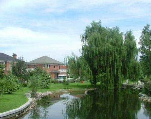 20120406101038_7992.jpg