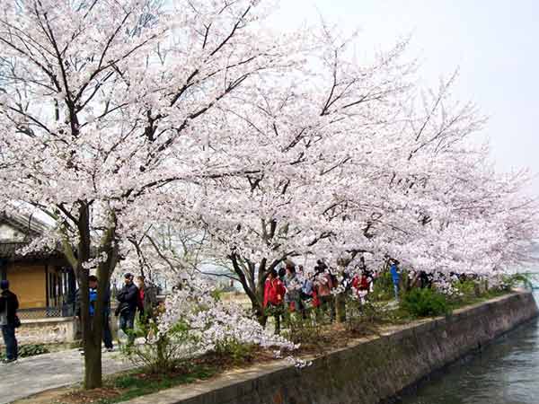 20120406101203_4876.jpg